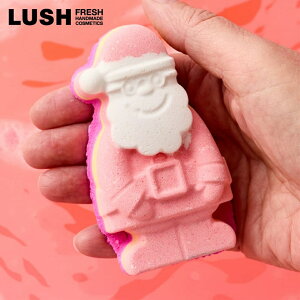 LUSH }WJT^ NX}X  2025 oX{  v`Mtg v[g VgX lC 킢 T^N[X B[K RX bV 