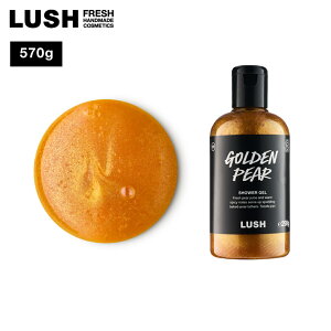 LUSH S[fyA[ V[WF NX}X  2025 {fB\[v miV J_ lC 킢 B[K RX bV 
