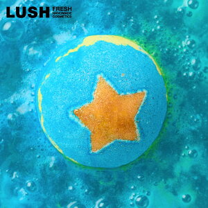 LUSH V[gtH[X^[Y oX{ NX}X  2025  v`Mtg v[g IW JJIo^[ lC 킢 B[K RX bV 