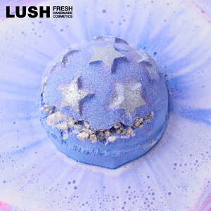 LUSH TCgiCg { oX{ NX}X  2025  v`Mtg v[g V[\glC 킢 B[K RX bV 