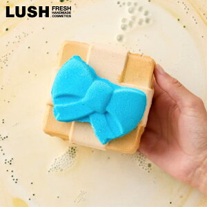 LUSH ̃ZuCg C oX{ NX}X  2025  v`Mtg v[g IW C lC 킢 B[K RX bV 