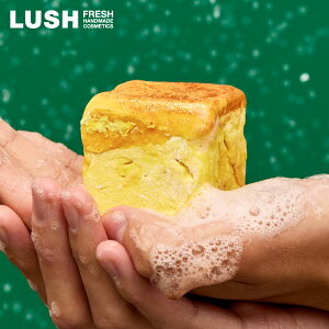 LUSH ojfBCg {fBEHbV NX}X  2025 oj I[c~N lC 킢 B[K RX bV 