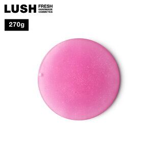 LUSH Xm[tFA[Ob^[ V[WF NX}X  2025 {fB\[v C ȉَq lC 킢 B[K RX bV 