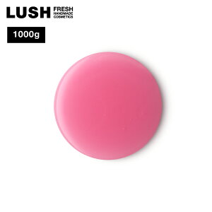 LUSH Xm[tFA[ V[WF NX}X  2025 {fB\[v C ȉَq lC 킢 B[K RX bV 