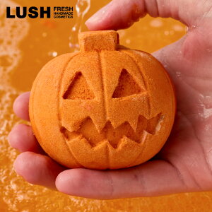 LUSH nEBNu ou[ ouo[  AC nEB  2025 VAo^[ O[vt[c nhCh B[K Rh RX bV 