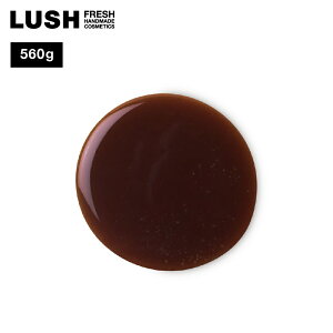 LUSH |bV`R[g V[WF Ό ΂ {fB\[v B[K v`Mtg RX bV 