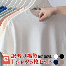 【 数量限定 訳あり】 Tシャツ 大きいサイズ [5枚セット!] 綿 100 % メンズ レディース 無地 半袖 インナー 透けにくい 白 ホワイト ブラック ユニセックス T シャツ コットン 紺 茶色 送料無料