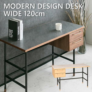 yz fXN 120cm Ζڕ ~  s55cm O[ _[NO[ փfXN ֊ p\RfXN  [NfXN PCfXN wKfXN EH[ibg i` k 