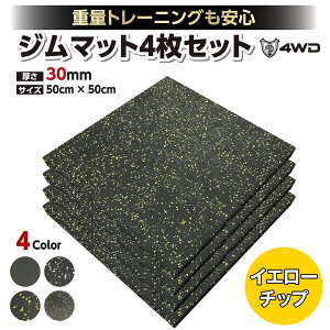 4WD �W���}�b�g �g���[�j���O �S���}�b�g �X�|�[�c�W�� �W�� �}�b�g ���� �h���G�N�T�T�C�Y�}�b�g 30mm �Ռ��z���}�b�g ���o�[�}�b�g �_���x���}�b�g �؃g�� �z�[���W�� �t�B�b�g�l�X �唻 ��