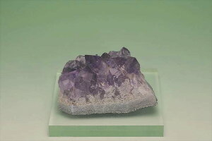 AWXg NX^[ uWY u VR p[Xg[ v[g J^ Mtg CeA a 2