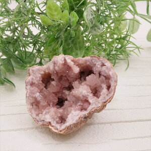  sNAWXg WI[hm  u VR p[Xg[ v[g J^ Mtg CeA