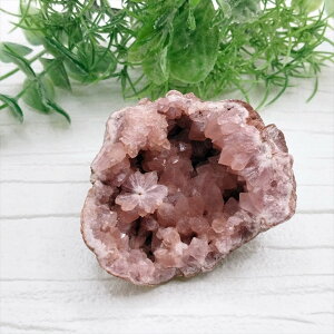  sNAWXg WI[hL  u VR p[Xg[ v[g J^ Mtg CeA