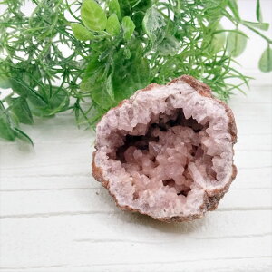  sNAWXg WI[hm  u VR p[Xg[ v[g J^ Mtg CeA