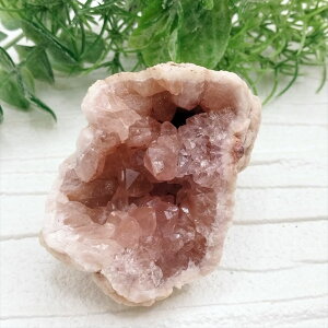  sNAWXg WI[hL  u VR p[Xg[ v[g J^ Mtg CeA