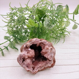  sNAWXg WI[hL  u VR p[Xg[ v[g J^ Mtg CeA