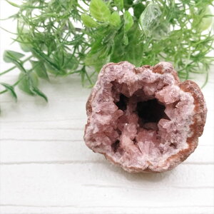  sNAWXg WI[hL  u VR p[Xg[ v[g J^ Mtg CeA