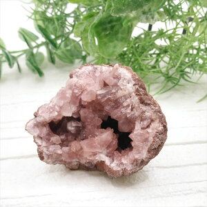  sNAWXg WI[hm  u VR p[Xg[ v[g J^ Mtg CeA