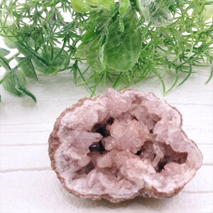  sNAWXg WI[hm  u VR p[Xg[ v[g J^ Mtg CeA