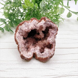  sNAWXg WI[hL  u VR p[Xg[ v[g J^ Mtg CeA