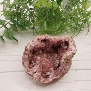  sNAWXg WI[hm  u VR p[Xg[ v[g J^ Mtg CeA