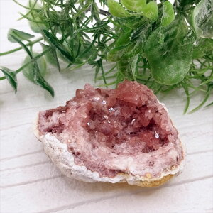  sNAWXg WI[hm  u VR p[Xg[ v[g J^ Mtg CeA