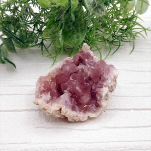  sNAWXg WI[hs  u VR p[Xg[ v[g J^ Mtg CeA