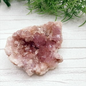  sNAWXg WI[hs  u VR p[Xg[ v[g J^ Mtg CeA