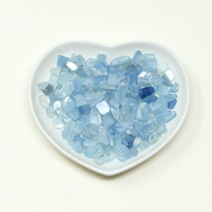 �A�N�A�}���� ������� 100g �u�� �V�R�� �p���[�X�g�[���i���M�ʔ���j �v���[���g �J�^ �M�t�g �C���e���A �a���� 3��