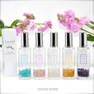 NX^n[uEH[^[ VR X}bWO~Xg 򉻃Xv[  NH[c Vg [YNH[c A}]iCgAWXg 100mlv[g Mtg a v[g J