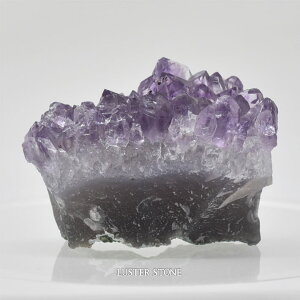 u NX^[ uWYAWXgNX^[ p[Xg[ VR v[g J^ Mtg CeA a 2