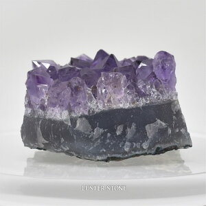 u NX^[ EOACYAWXgNX^[ p[Xg[ VR v[g J^ Mtg CeA a 2