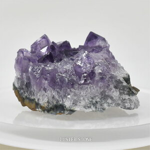 u NX^[ EOACYAWXgNX^[ p[Xg[ VR v[g J^ Mtg CeA a 2