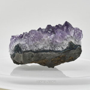 u NX^[ EOACYAWXgNX^[ p[Xg[ VR v[g J^ Mtg CeA a 2