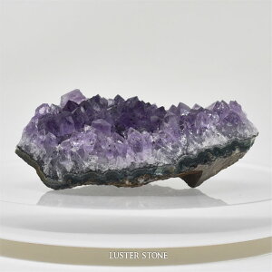 u NX^[ EOACYAWXgNX^[ p[Xg[ VR v[g J^ Mtg CeA a 2