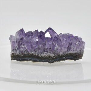 u NX^[ uWYAWXgNX^[ p[Xg[ VR v[g J^ Mtg CeA a 2