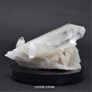 u NX^[  NH[c uWY p[Xg[ VR v[g J^ Mtg CeA a 4