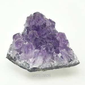 u NX^[ uWYAWXgNX^[ p[Xg[ VR v[g J^ Mtg CeA a 2