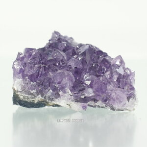 EOACY AWXg NX^[ u VR p[Xg[ v[g J^ Mtg CeA a 2