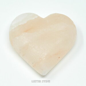 n[g^ q}≖ u VR p[Xg[ v[g J^ Mtg CeA