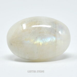 Ip[  u VR p[Xg[ v[g J^ Mtg CeA a