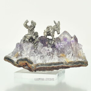 AWXg oƂ NX^[ ̋ VR p[Xg[ v[g J^ Mtg CeA a 2