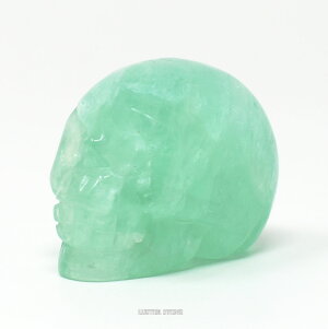 t[Cg@XJ@hN@W u VR p[Xg[ 