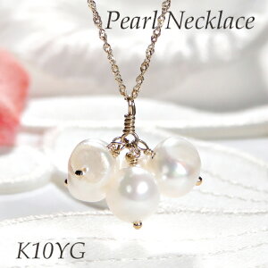 yʌzK10YG Wp[ O lbNX 60cmyzWG[  S[h 10 y_g p[ ^ W^ p[y_g lC i iۏ؏ v[g 