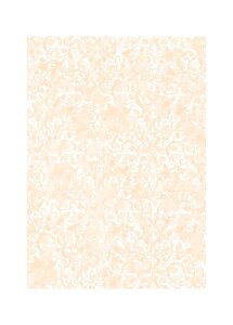 sA4×50tsi romaIWtOAp wi fUC 킢  ubNJo[ CNWFbgΉ [U[v^[Ή Rs[ p Rs[p v