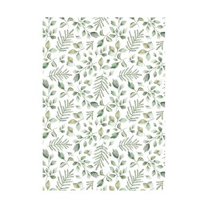 sA4×50tsi leafyt ubNJo[   킢y[p[ ˒IV[g y[p[}bgbsOy[p[ fUCy[p[