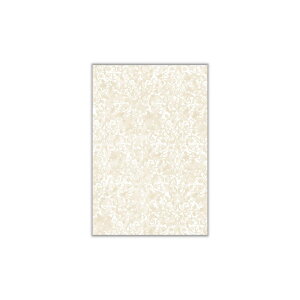 ハガキサイズカード 《romaブラウン》50枚入り幅10cm×高さ14.8cmかわいい おしゃれ はがき ハガキ ポストカードミニカード ギフトカード グリーティングカード サンキューカード