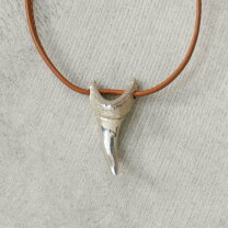 楽天市場】サメの歯 ネックレスの通販 