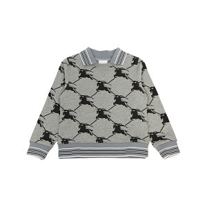 y3%ItN[|zzz BURBERRY KIDS o[o[LbY xr[ TVc RCN3 EKD GRID 8069279 A1931
