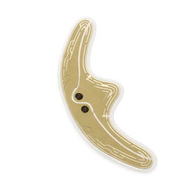 【交換用シート】 貼る EMS美顔器 Elfa エルファ 業界初 LUXCEAR リフトアップ リフトケア フェイスマスク シートマスク 表情筋 もたつき フェイス 時短 系リフト