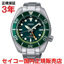 【お買い物マラソン期間中店内ポイント最大20倍】【国内正規品】 セイコー プロスペックス ダイバースキューバ GMT SEIKO PROSPEX DIVER SCUBA 45mm メンズ 腕時計 ウォッチ ソーラー ステンレススティールブレスレット グリーン文字盤 緑 SBPK001